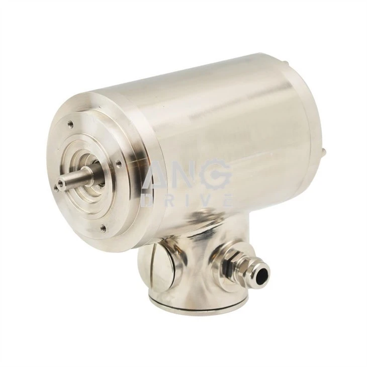 Stainless Steel Electric Motor
