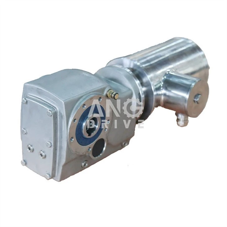Stainless Steel Geared Motor