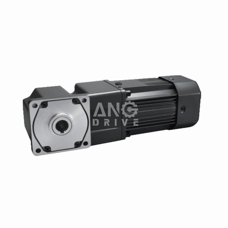 AC right angle hollow shaft gear motor without t-box