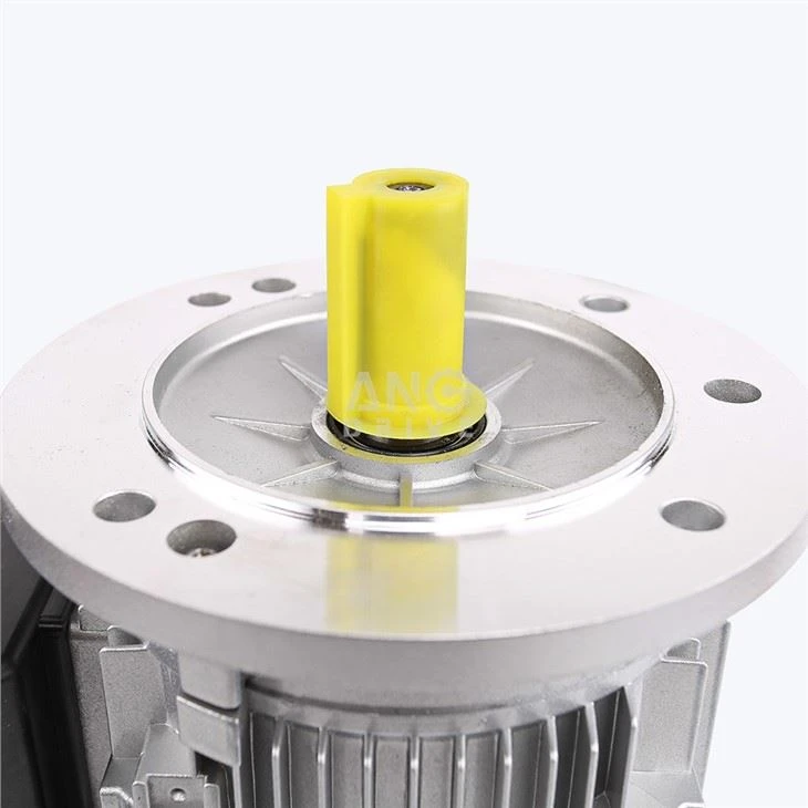 Asynchronous 1 phase Motor