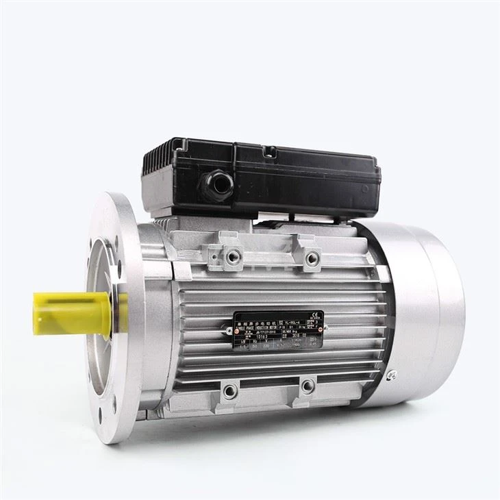 Motor