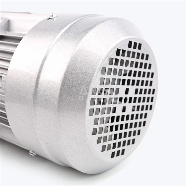 Electric IEC Motor