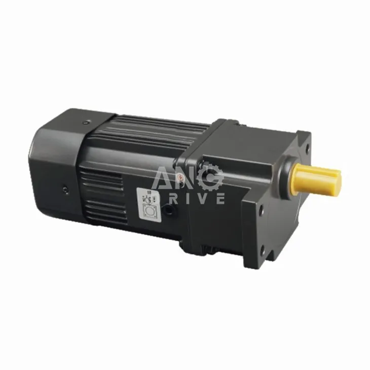 Micro Geared Motor