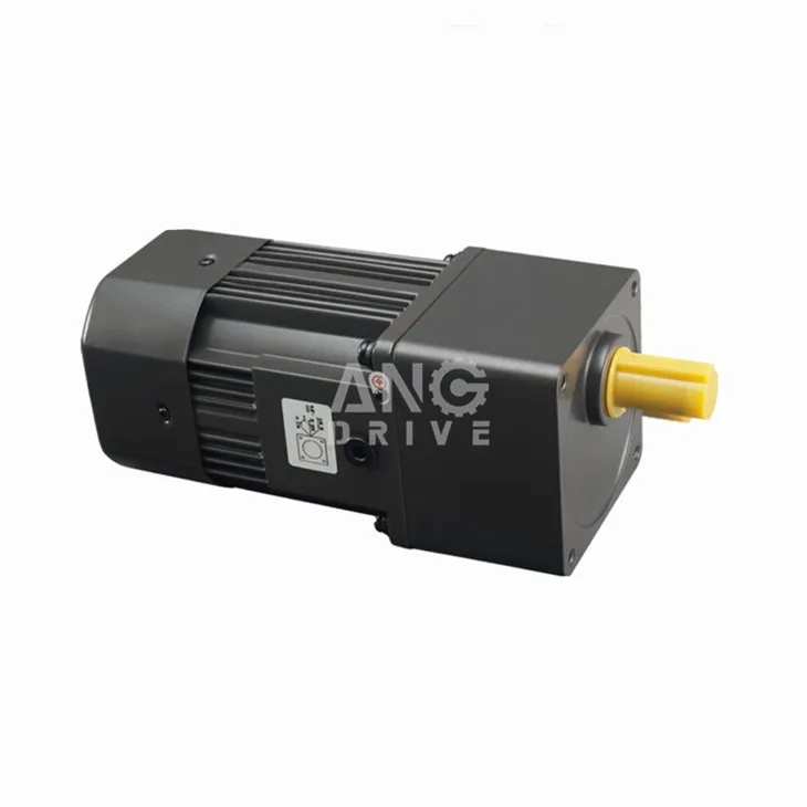 Micro Geared Motor