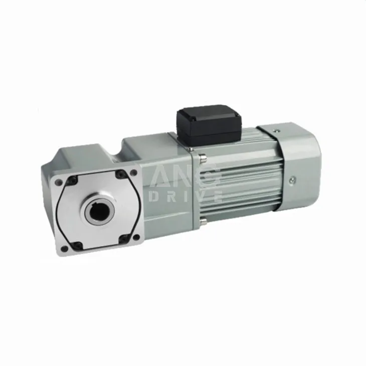 Micro Geared Motor