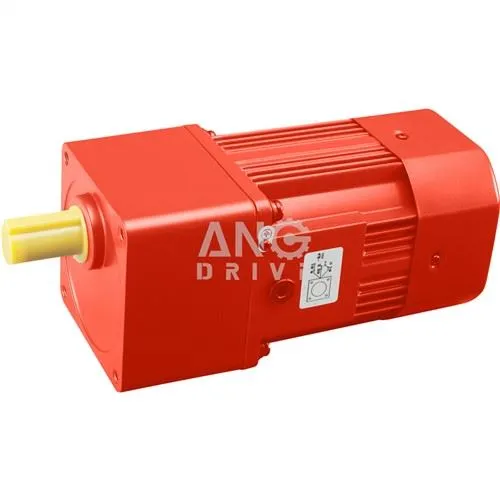 Motori gearmotor reversibile AC