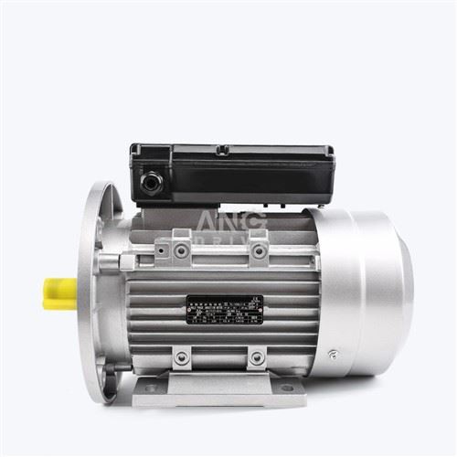 Motore elettrico monofase